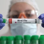 Bird flu builds up danger for breakfast in US