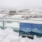 In pictures: South Korean capital hit by ‘record November snowfall’