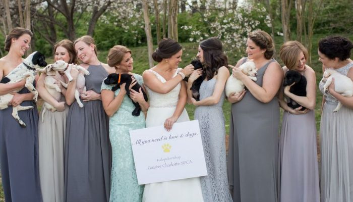 At the wedding, people traded flowers for animals in need of a good home