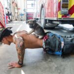 Usually Combating Fires, Once A Year These Firefighters Turn The Heat Up In The Most Adorable Way