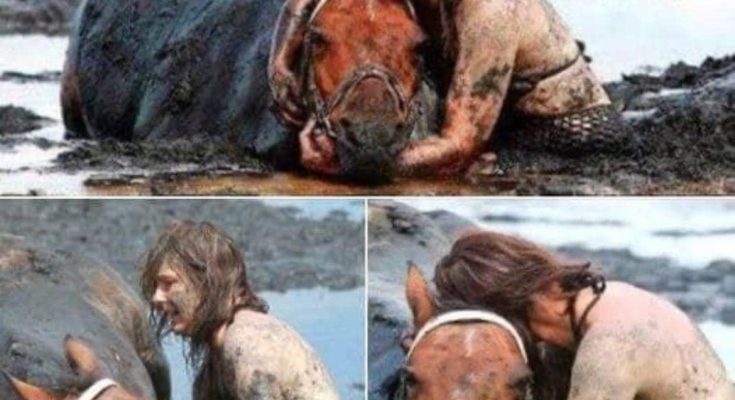 As her horse was drowning, this woman did the unthinkable 💔