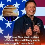 Elon Musk claps back at Neil deGrasse Tyson after he mocks his Mars colonisation plan