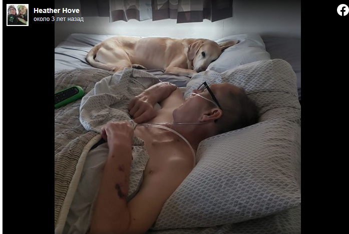 “Remarkable Bond: Air Force Veteran and Beloved Dog Pass Away Within Hour and a Half of Each Other”