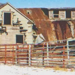 Woman Ignores Letters from Man She Left 53 Years Ago, Visits Him Once and Finds a Ruined House — Story of the Day