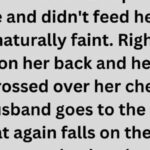 Cat Dramatically ‘Faints’ for Food, Husband Calls Her Out!