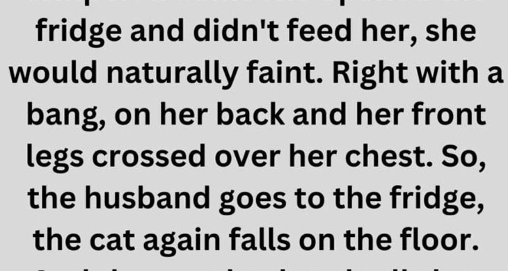 Cat Dramatically ‘Faints’ for Food, Husband Calls Her Out!