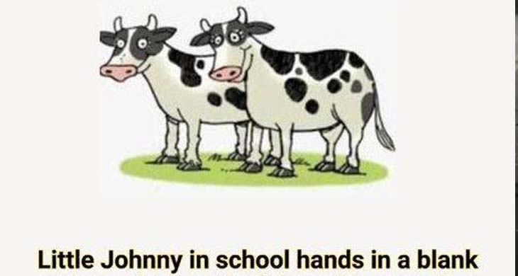 Little Johnny In School Hands In A Blank Piece Of Paper.