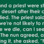 The Unusual Solution Of a Priest and Nun