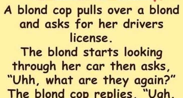 Are You Blonde?