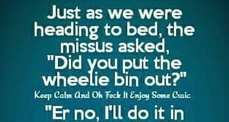 When Domestic Chores Turn Into Comedy Gold: The Wheelie Bin Chronicles