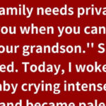 I Refused to Let My MIL Meet My Baby — She Plotted a Cruel Plan