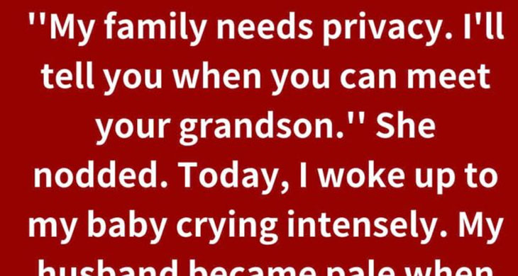 I Refused to Let My MIL Meet My Baby — She Plotted a Cruel Plan