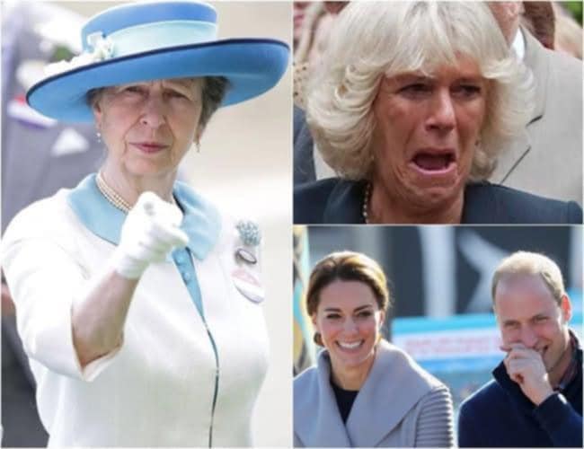 Good News: King Charles Hospitalized, Princess Anne Immediately “Teams Up” With William To Grant Camilla A New Title, Leaving Her In Tears: “Charles, Save Me…” See more below