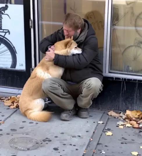 Dog Goes to Closed Store Daily then Leaves, One Evening Poor Boy Notices…