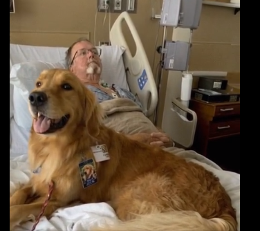 THE THERAPY DOG JUMPED ON HIS BED—AND THAT’S WHEN HE FINALLY SPOKE