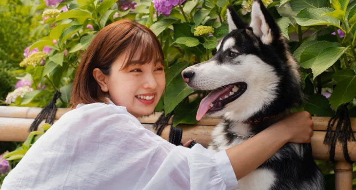 A German Shepherd Wouldn’t Leave a Girl’s Coffin