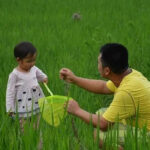 The story of a father digging a grave for