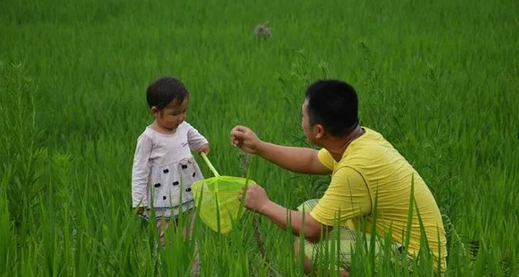 The story of a father digging a grave for