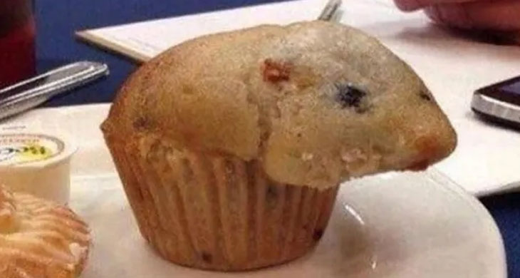 24 Pictures That Need